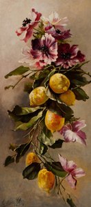 Nature morte